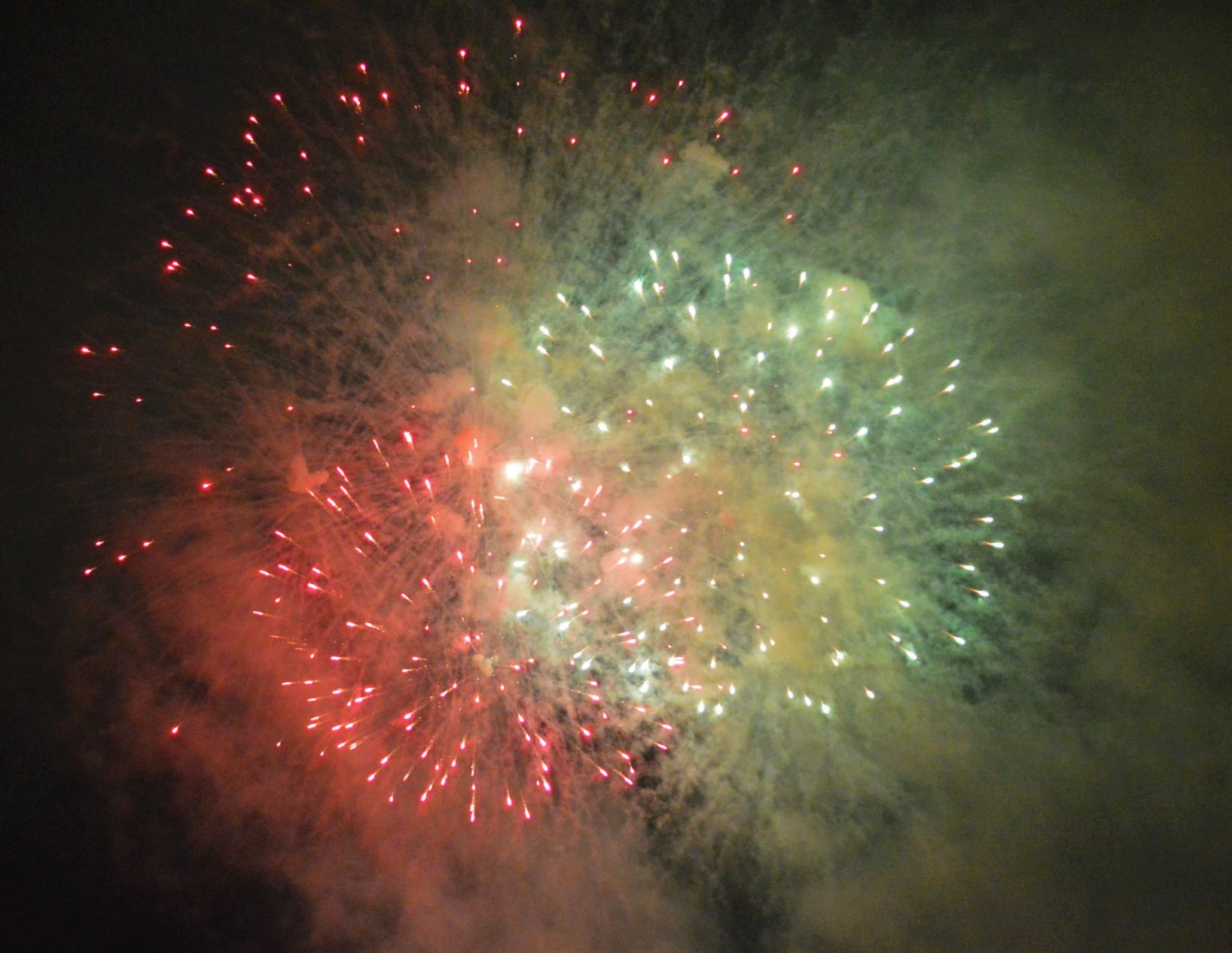 Hoppin july 5 (86).JPG